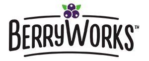 berryworks_titulo_logo