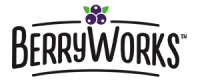 berryworks_titulo_logo